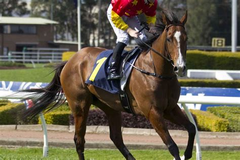 A Guide To The Tramway Stakes .